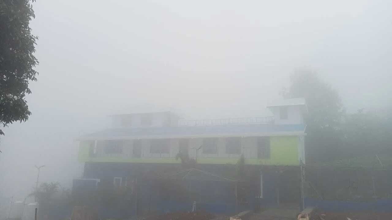 Jungle Chai Retreat Resort