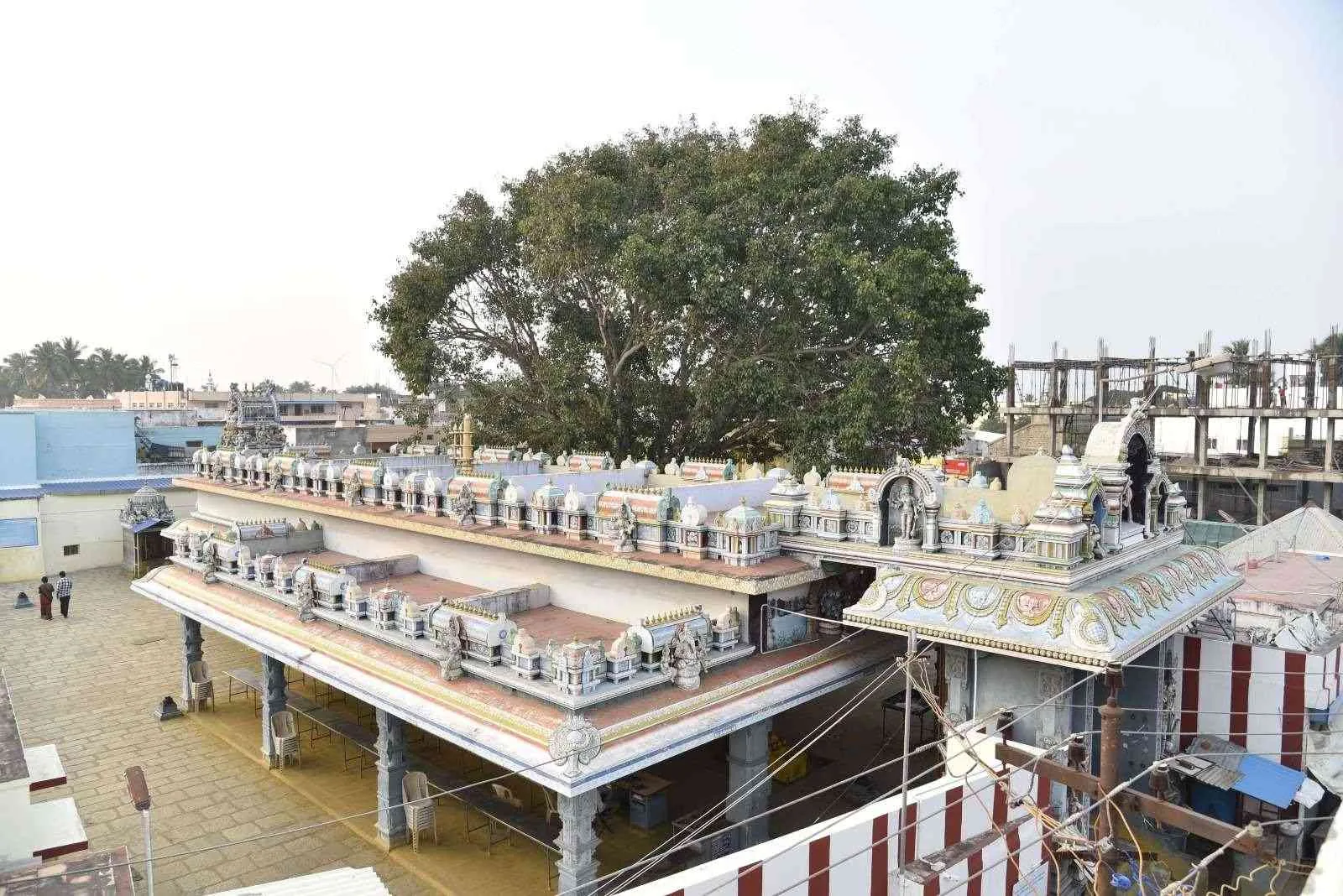 புகைப்படம் புகைப்படம்