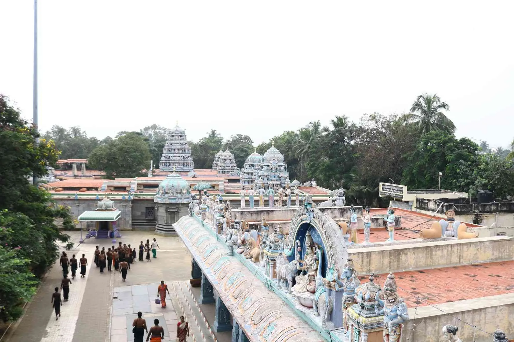 விமானம் அருள்மிகு சங்கமேஸ்வரர் மற்றும் அருள்மிகு வேதநாயகி அம்மன் விமானங்கள்