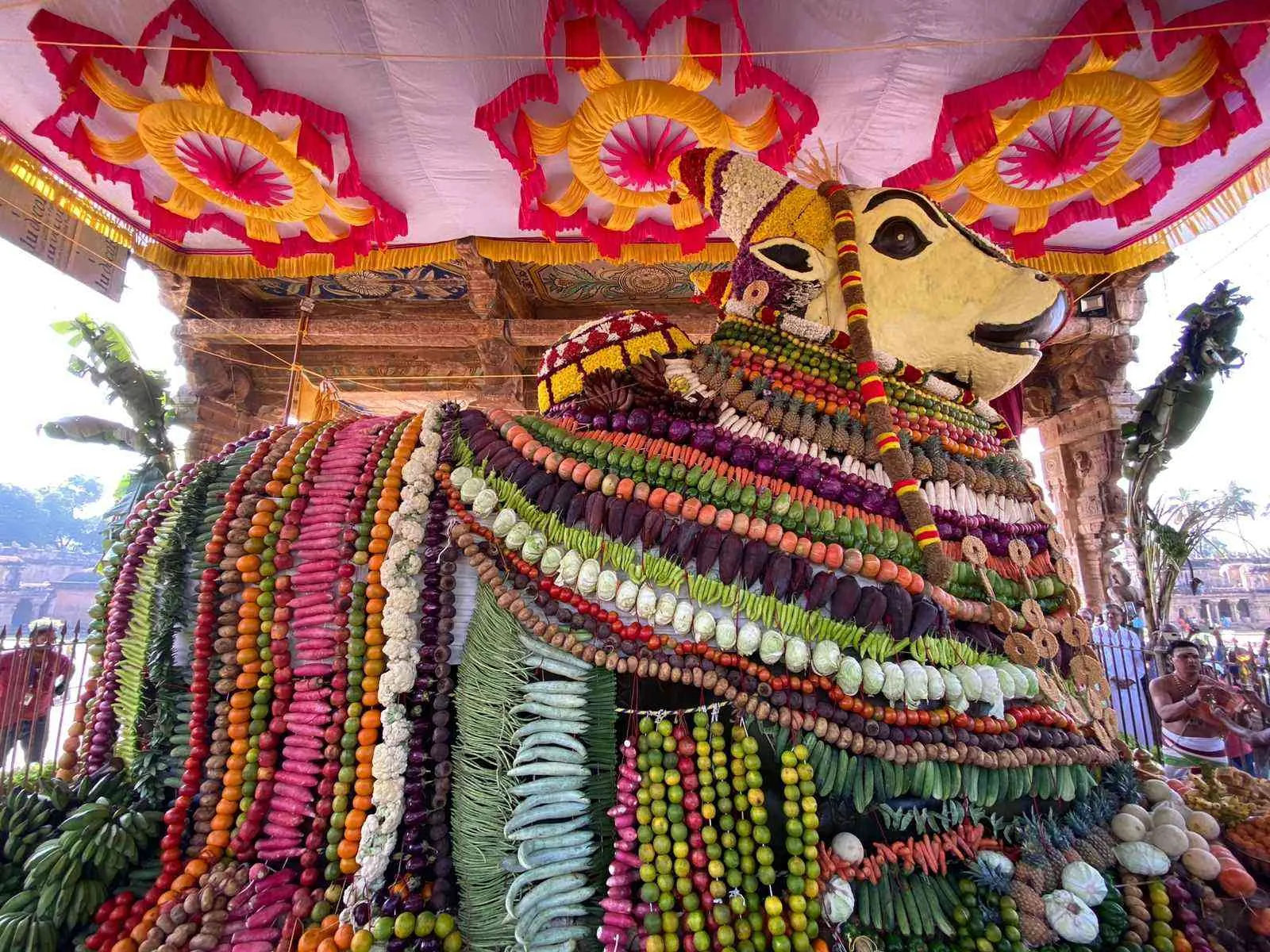 நந்தியெம்பெருமான் மாட்டு பொங்கல் சிறப்பு அலங்காரம் 2023 ஆம் ஆண்டு சனவரி மாதம் 16 ஆம் நாள் நடைபெற்ற மாட்டுப் பொங்கல் விழாவிற்காக நந்தியெம் பெருமானுக்கு சிறப்பு அலங்காரம் செய்யப்பட்டது.