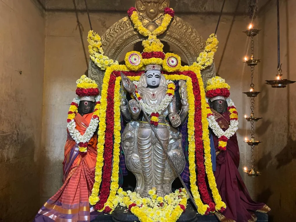 தை பூசம் தை பூசம் - அருள்மிகு வள்ளி தெய்வானை சமேத சுப்பிரமணியர் சிறப்பு அலங்காரம்