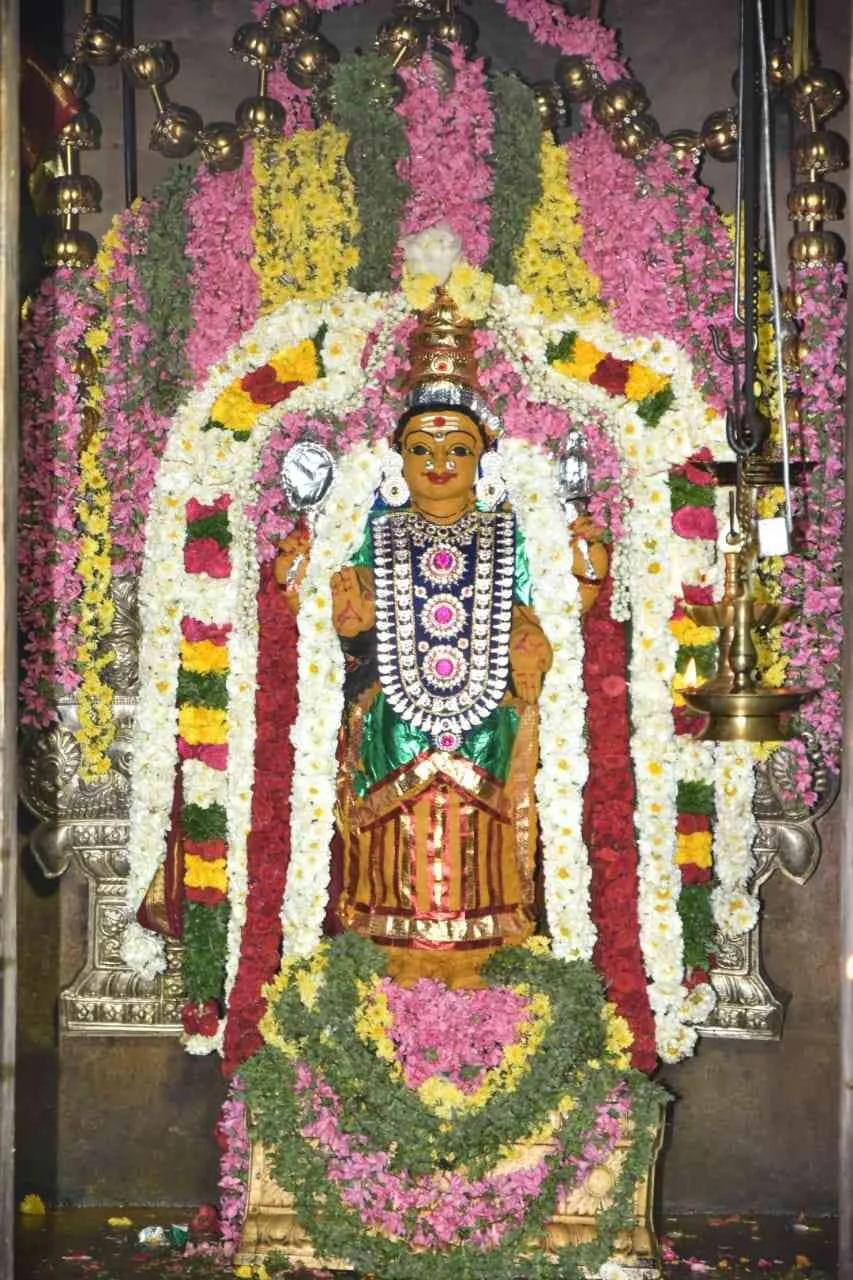 மாசி மகா குருவார விழா மாசி மகா குருவார விழா