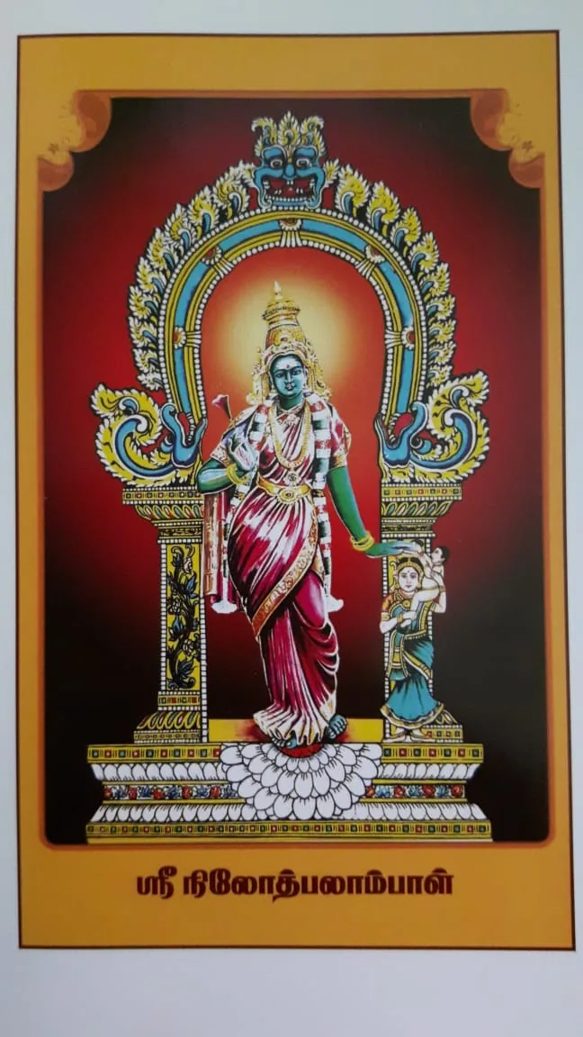 அருள்மிகு நீலோத்பலாம்பாள் அருள்மிகு நீலோத்பலாம்பாள்