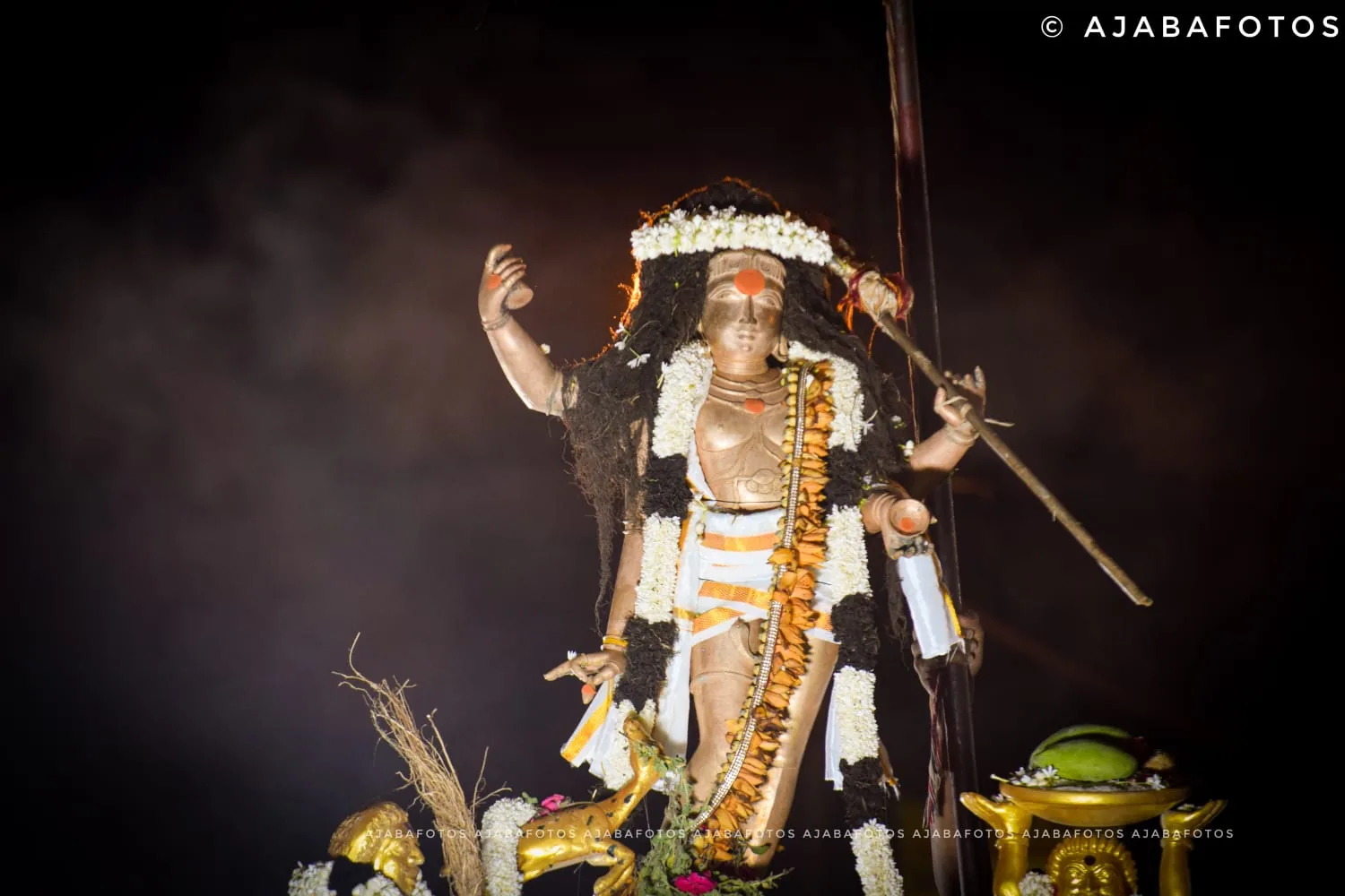 அருள்மிகு பிச்சாண்டவர் சிவபெருமானின் இருபத்தைந்து வடிவங்களில் பிச்சாண்டவர் வடிவம் தத்துவச்சிறப்பும் தொன்மையும் வாய்ந்தது. திருவாரூரில் தேர்த் திருவிழாவின் அடுத்த நாள் இவர் திருவீதியில் உலா வருவார்.