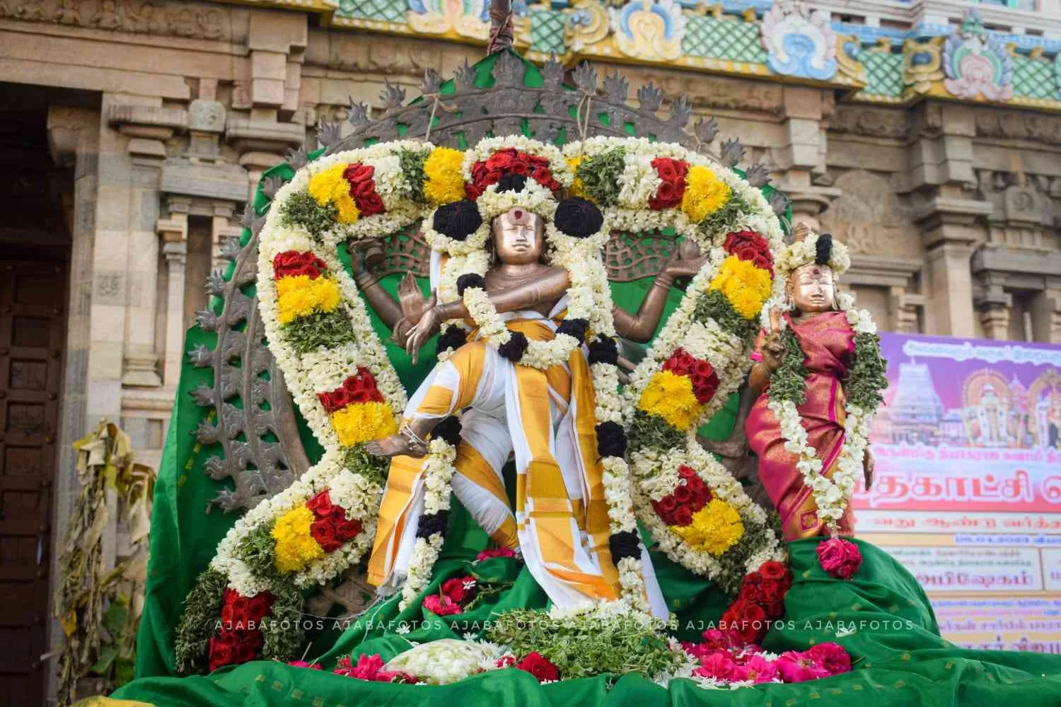 அருள்மிகு நடராஜர் தீர்த்தவாரி வைபவம் -