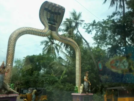 அருள்மிகு சேஷபுரீஸ்வரர் திருக்கோயில் திருப்பாம்புரம் -