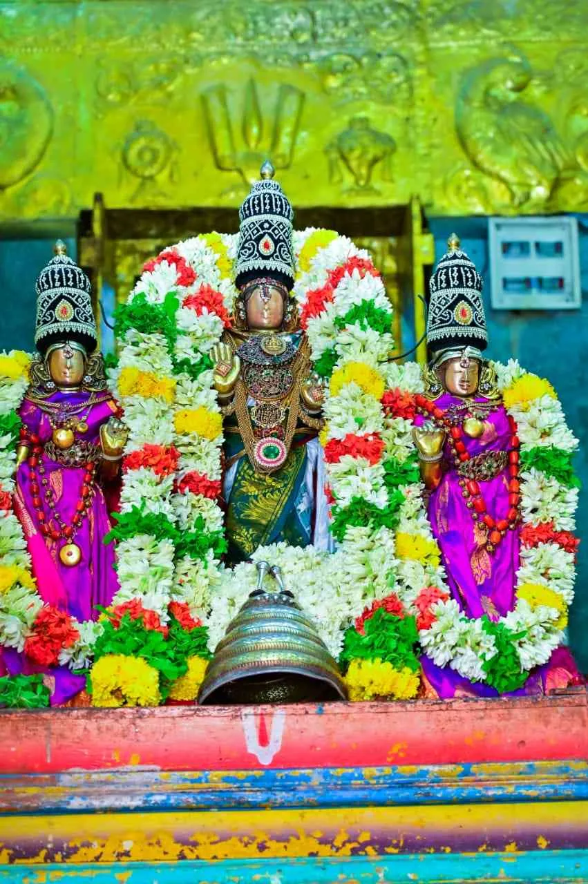 பிரம்மோற்சவம்-2022 எம்பெருமாள் திருமலைக்கு எழுந்தருளுதல்