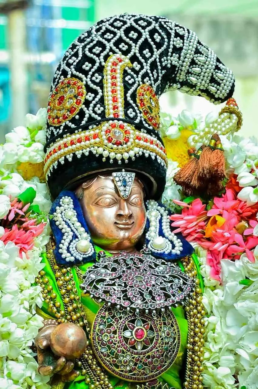 பிரம்மோற்சவம்-2022 கண்ணன் புறப்பாடு