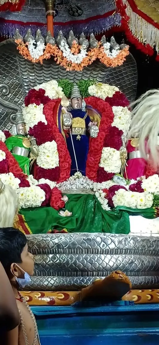 வெள்ளி நாக வாகனம் வெள்ளி நாக வாகனம்