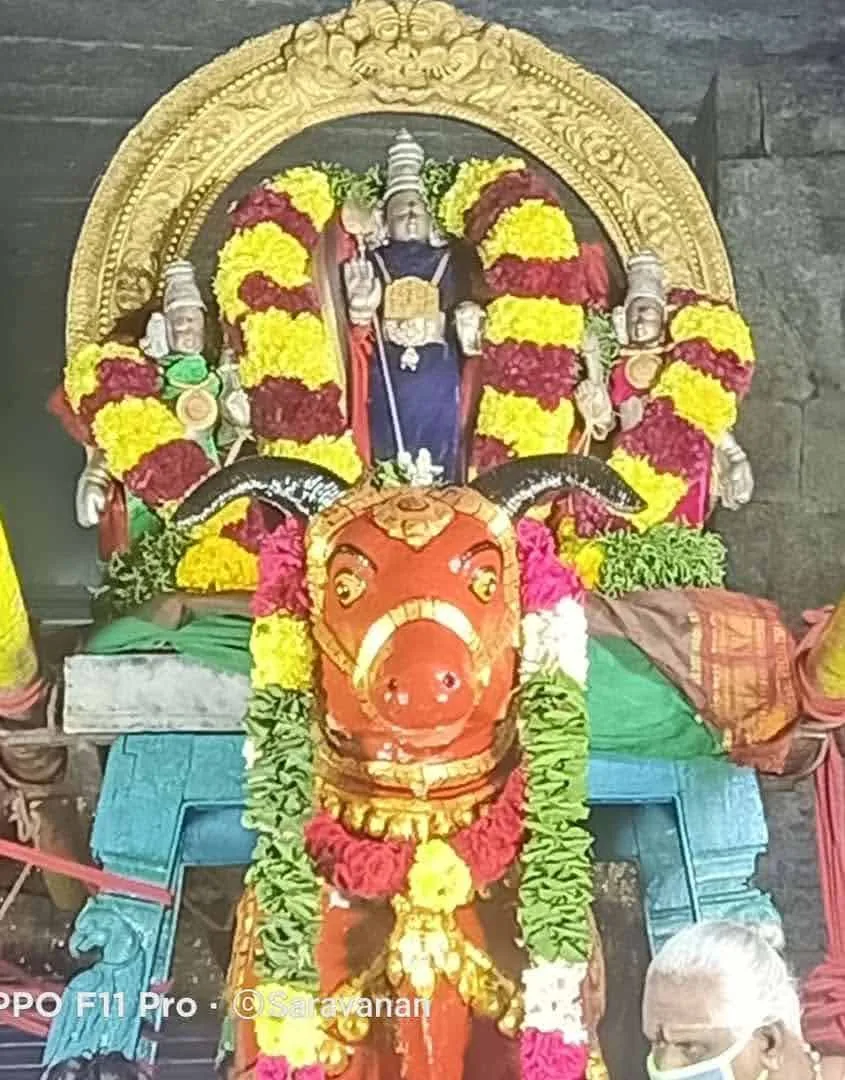 ஆட்டுக்கிடை வாகனம் ஆட்டுக்கிடை வாகனம்