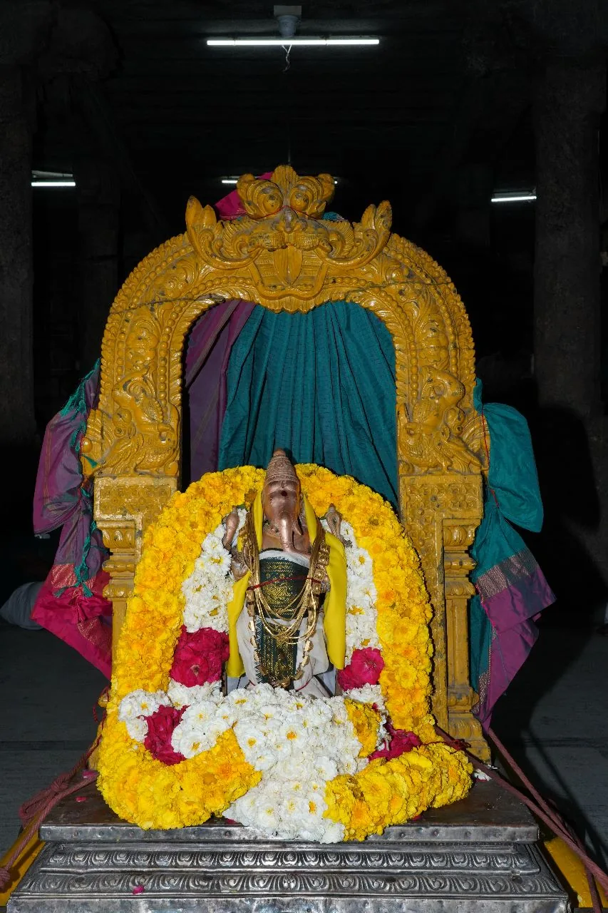 அருள்மிகு விநாயகர் உலா மாசி பெருவிழா