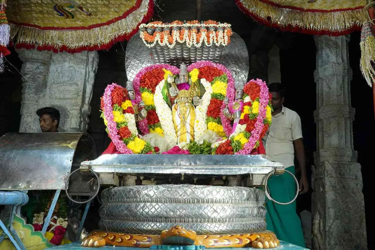 வெள்ளி நாகவாகனம் மாசி பெருவிழா நான்காம்  நாள்