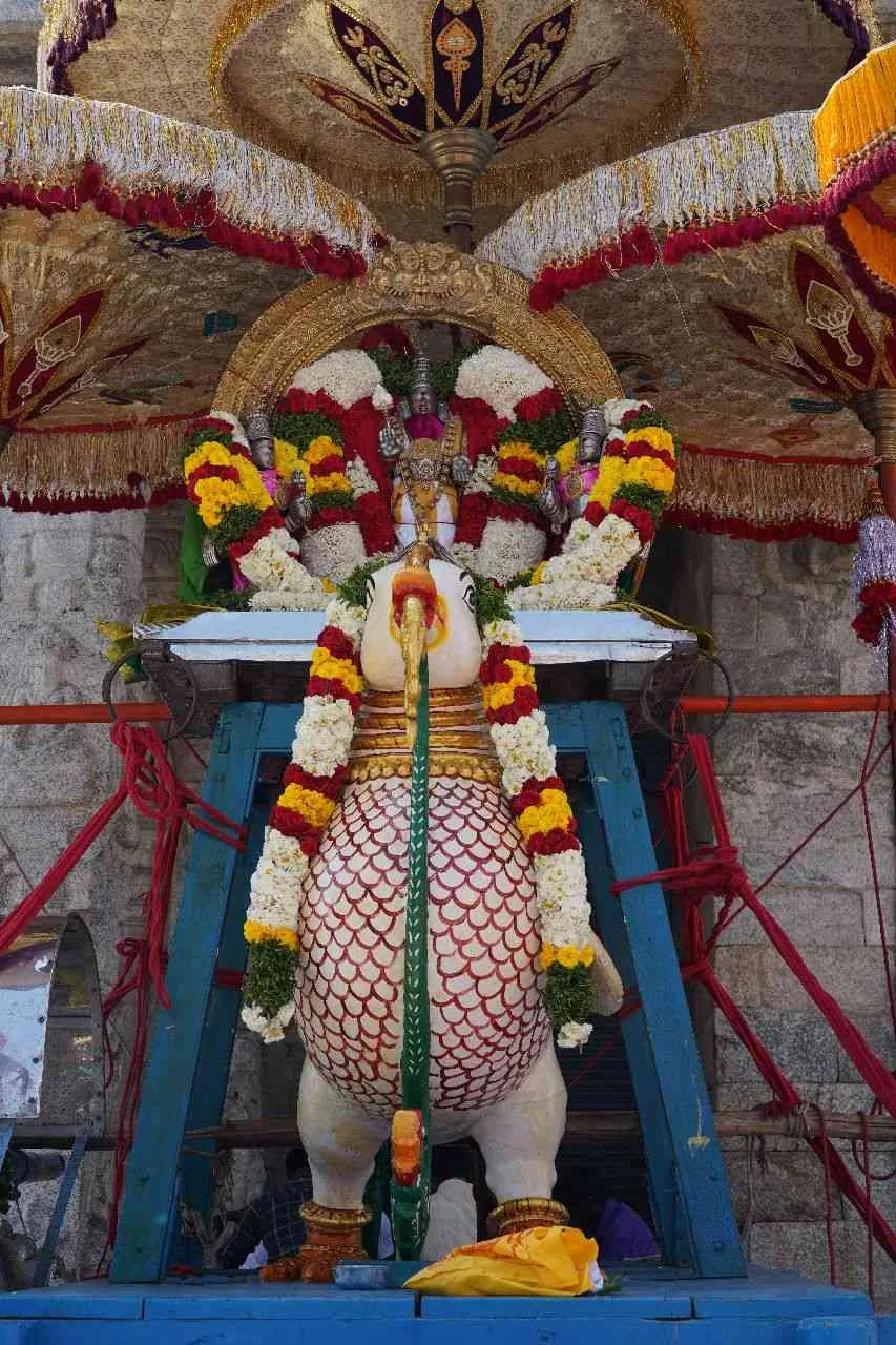 அன்ன வாகனம் மாசி பெருவிழா ஐந்தாம் நாள்