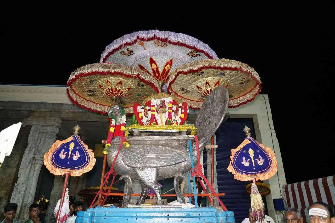 வெள்ளி மயில் வாகனம் மாசி பெருவிழா ஐந்தாம் நாள்