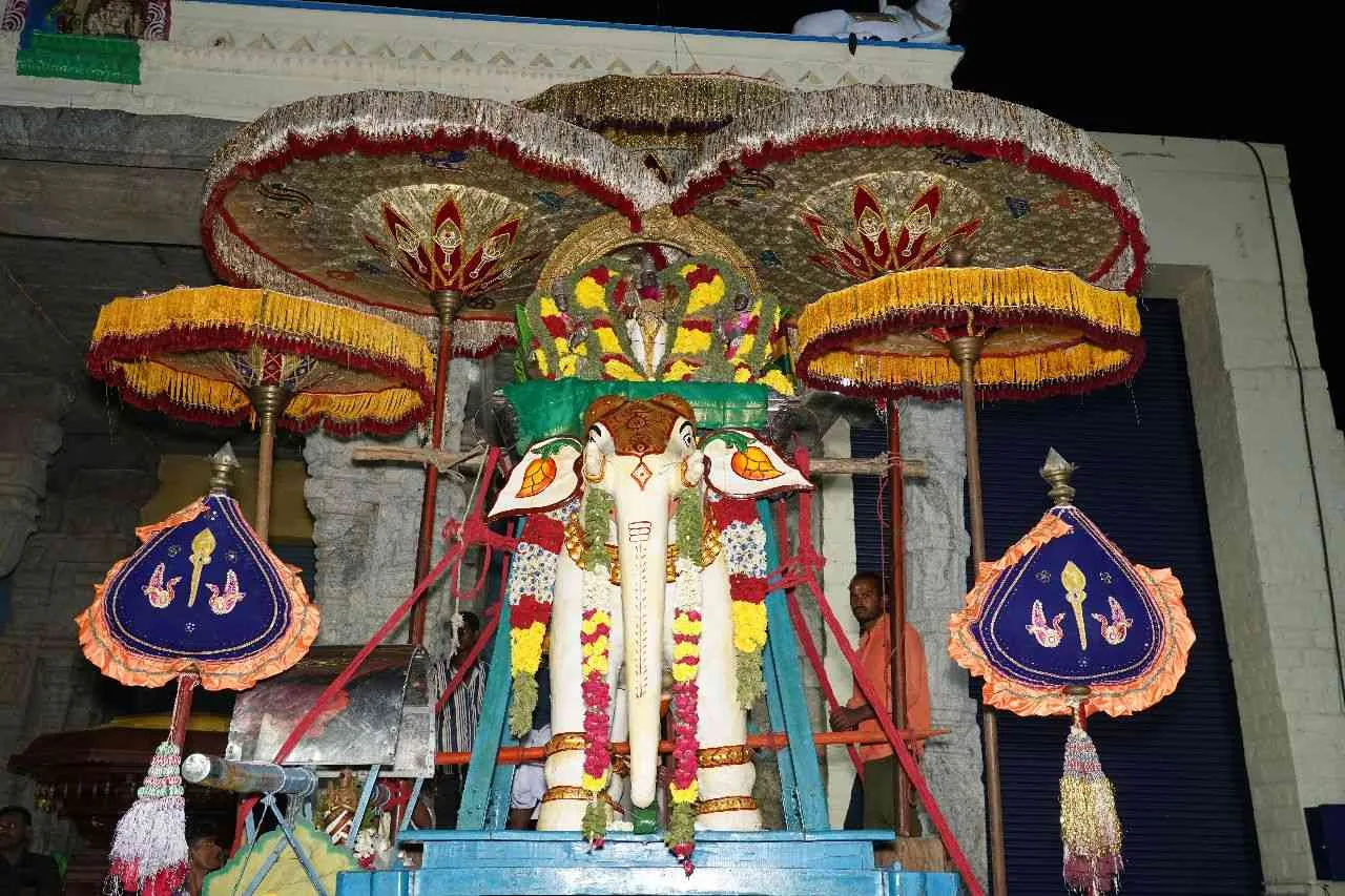 யானை வாகனம் மாசி திருவிழாவின் ஆறாம் நாள்