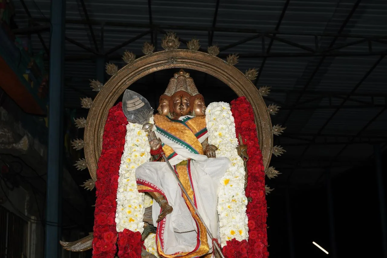 அருள்மிகு சண்முகர் உற்சவம் மாசி பெருவிழா பத்தாம் நாள் அருள்மிகு சண்முகர் உற்சவம்