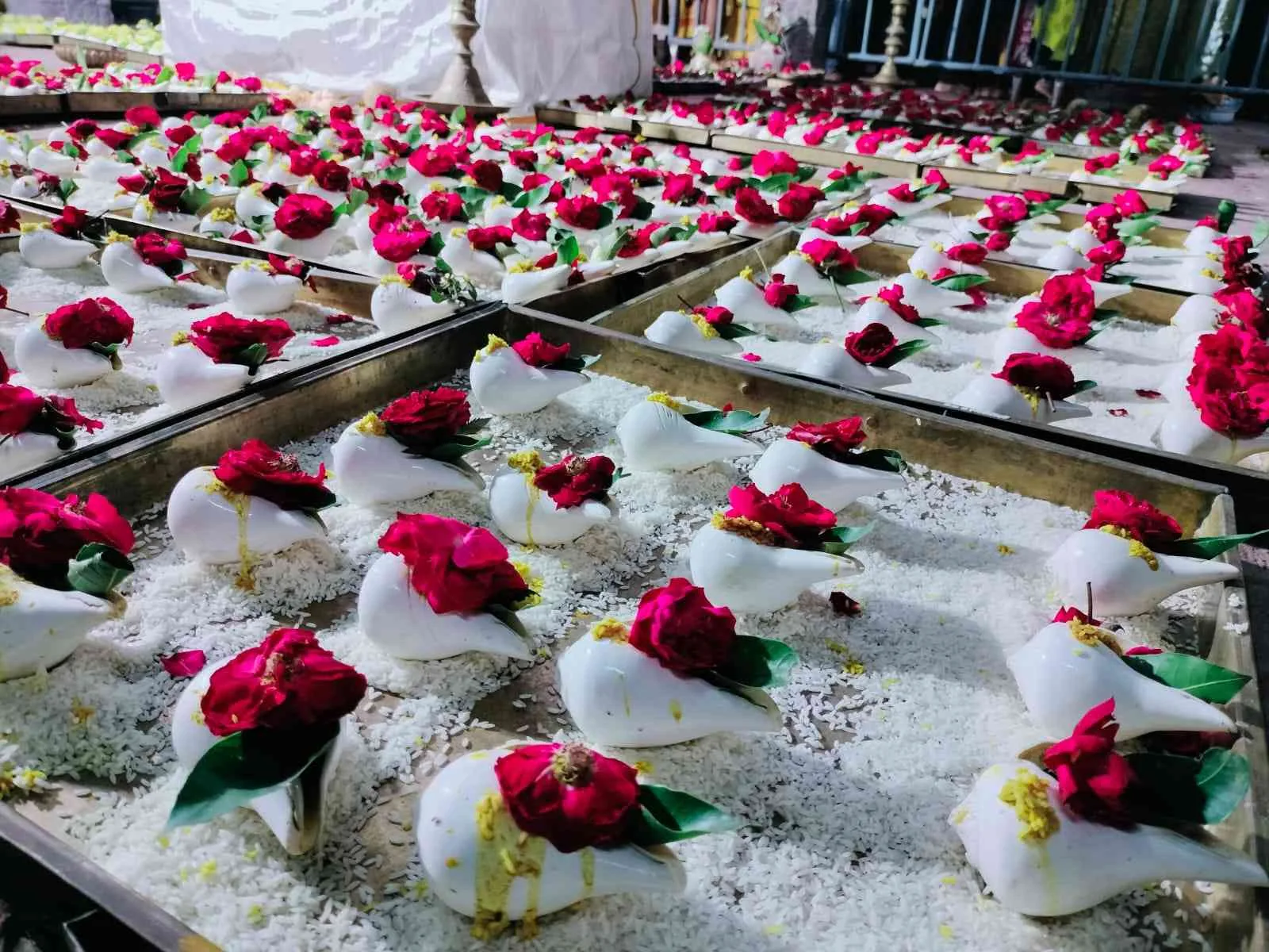 1008 சங்கு பூஜை சிவராத்திரியை முன்னிட்டு திருத்தணி, அருள்மிகு சுப்பிரமணியசுவாமி திருக்கோயிலில் 1008 சங்கு பூஜை 2-ம் காலம் சிறப்பாக நடைபெற்றது.