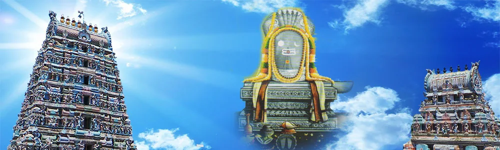 மாங்காடு முகப்பு புகைப்படம் மாங்காடு முகப்பு புகைப்படம்