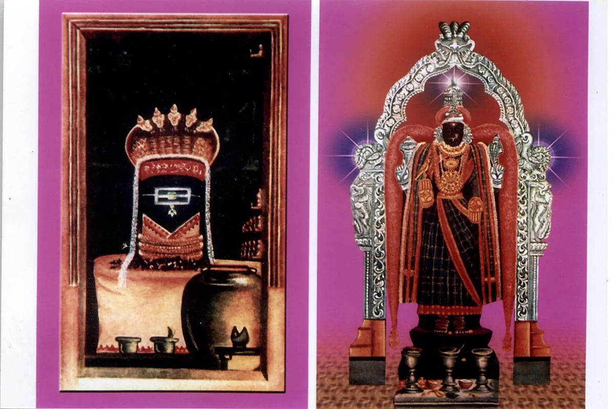 சுவாமி - அம்மன் புகைப்படம் இத்தலம் தொண்டை மண்டலத்திலேயே மிகவும் பிரசித்திப்பெற்றம், சைவ சமய குரவர்கள் நால்வராலும் மற்றும் பட்டினத்தார், அருணகிரிநாதர், சிதம்பர சுவாமி மற்றும் அருளாளர்களாலும் பாடல் பெற்ற திருத்தலமாகும். வேதங்கள் நான்கும் மலையுருவாக இருந்தமையால் இத்தலம் வேதகிரி எனப் பெயர் பெற்றது.இத்திருக்கோயில் 7ம் நூற்றாண்டில் பல்லவ மன்னர்களில் புகழ்பெற்ற மகேந்திரவர்மப் பல்லவனால் கட்டப்பெற்றதாகும். 
சங்குதீர்த்தம் - மார்க்கண்டேயர் என்கிற மகரிஷி அனைத்து சிவ தலங்களை வழிபாடு நடத்திவிட்டு, திருக்கழுக்குன்றம் அருள்மிகு வேதகிரீஸ்வரரை வழிபாடு செய்ய எவ்விதமமான பாத்திரம் இல்லாத காரணத்தினால் தீர்த்த குளத்தில் தவம் மேற்கொண்டபோது, தீர்த்த குளத்தில் இறைவன் சங்கு ஒன்று பிறக்க செய்தார். அது முதல் இத்தீர்த்த குளம் சங்கு தீர்த்த என அழைக்கப்படுகிறது.
அருள்மிகு திரிபுரசுந்தரி அம்மன் - இத்திருக்கோயில் வீற்றிருக்கும் அம்மன் அஷ்ட கந்தம் என்கிற எட்டு விதமான மூலிகை திருமேனி சாற்றப்பட்டுள்ளது. இதனால் ஆண்டிற்கு மூன்று நாட்கள் மட்டும் முழு அபிஷேகம் நடைபெறும் ( ஆடி உத்திரம், நவராத்திரி தசமி, பங்குனி உத்திரம் - ஆகிய மூன்று தினங்கள்) 
பெணர்ணமி கிரிவலம் - திருமலை நான்கு வேதமே மலையாக உள்ளதாலும், சஞ்சீவிக் காற்று வீசுவதால் இம்மலையை சுற்றிவந்தால் தீராத நோய்கள் யாவும் தீரும். மகப்பேறுகள் இல்லாதவர்க்கு மகப்பேறு உண்டாகும் மேலும் ஒவ்வொரு பௌர்ணமி தினத்தன்று பல்லாயிரணக்கணக்கான பக்தர்கள் கிரிவலம் (பௌர்ணமி கிரிவலம் - வாழ்வில் வளம்  சேர்க்கும்) வருகிறார்கள்.