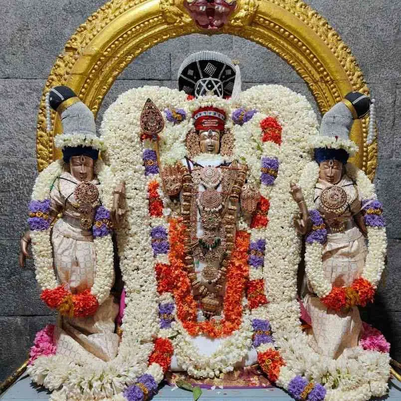 வைகாசி விசாகம் வைகாசி விசாகம்