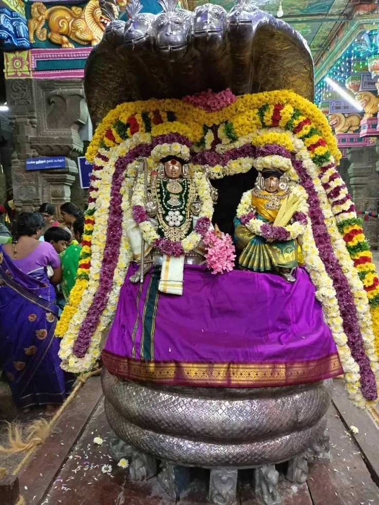 கார்த்திகை கடைஞாயிறு கார்த்திகை கடைஞாயிறு விழா இரண்டாம் நாள் சுவாமி அம்பாள் ஐந்து தலை நாக வாகனத்தில் புறப்பாடு