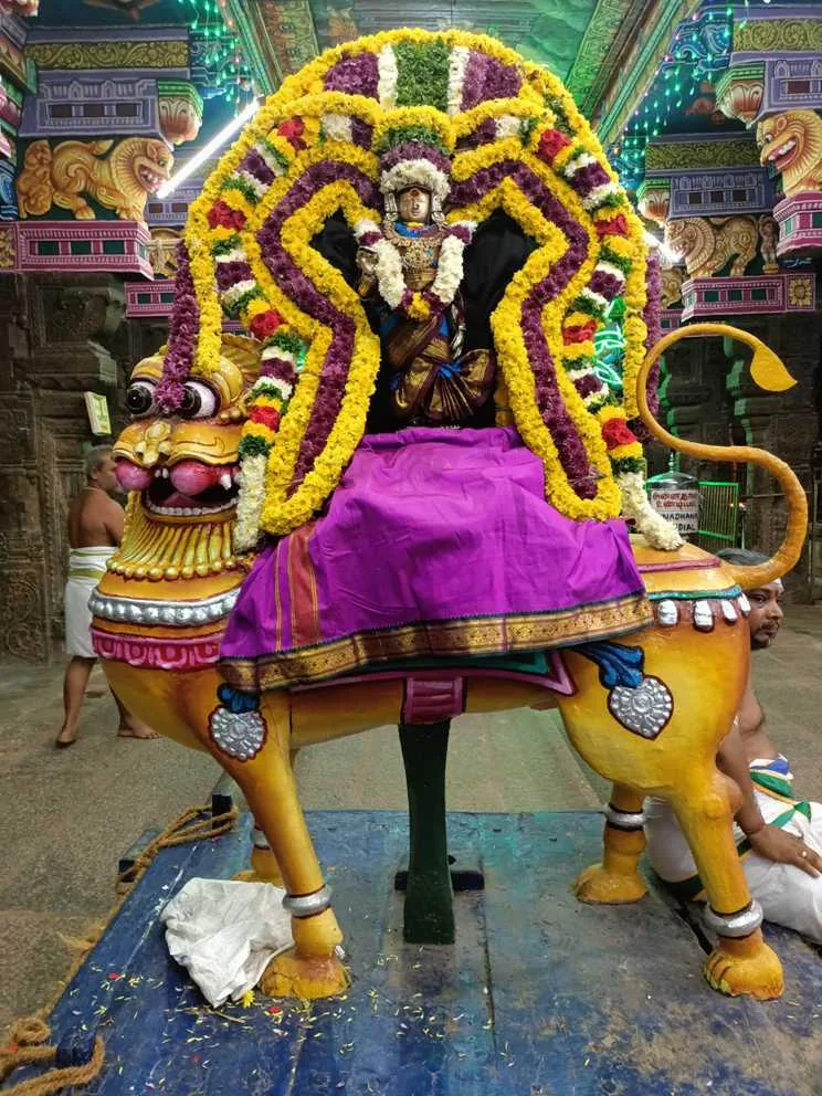 கார்த்திகை கடைஞாயிறு கார்த்திகை கடைஞாயிறு விழா மூன்றாம் நாள் அம்பாள்  சிம்ம வாகனத்தில் புறப்பாடு