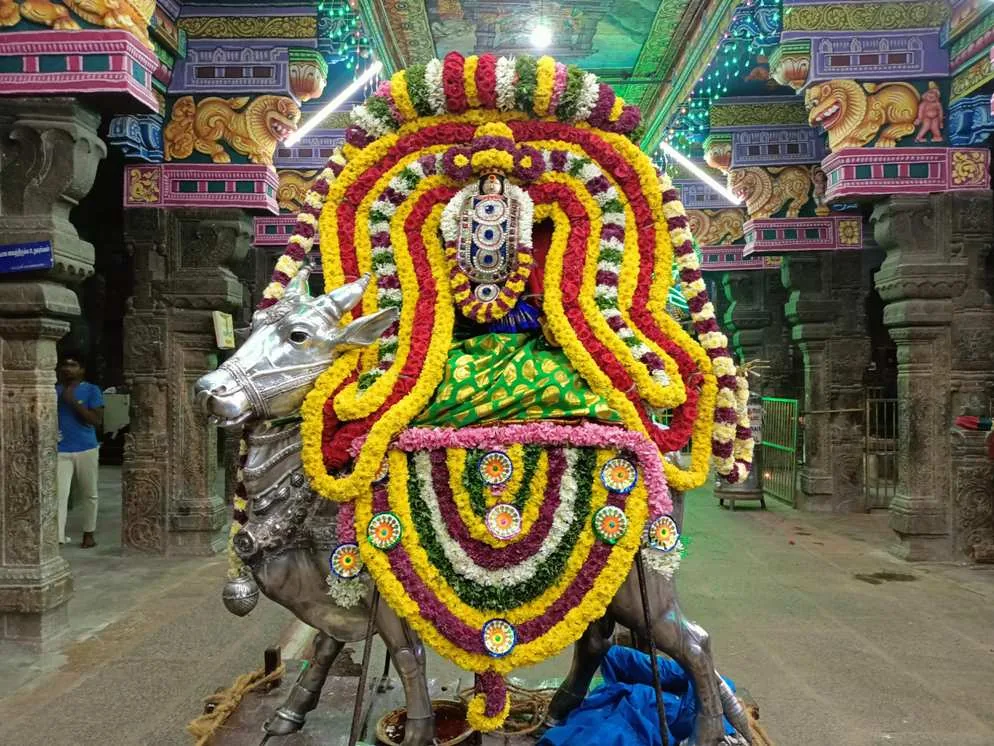 கார்த்திகை கடைஞாயிறு கார்த்திகை கடைஞாயிறு விழா பத்தாம் நாள் அம்பாள் ரிஷப வாகனத்தில் புறப்பாடு