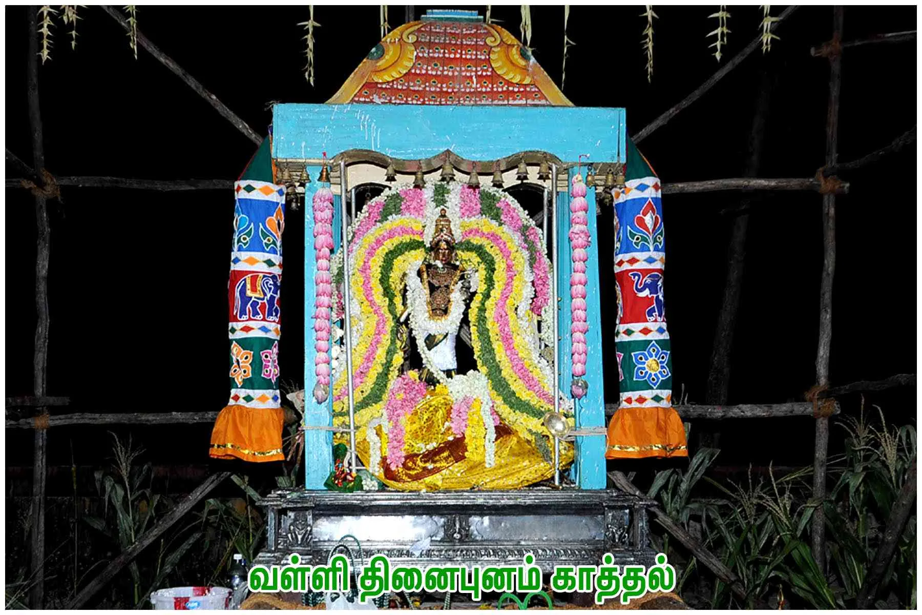 வள்ளி திருக்கல்யாணம் வள்ளி தினைபுனம் காத்தல், முருகன் வேடரூப காட்சி,முருகன் வேங்கை மரமாக காட்சி மற்றும்  முருகன் முதியவர் கோலம் காட்சி