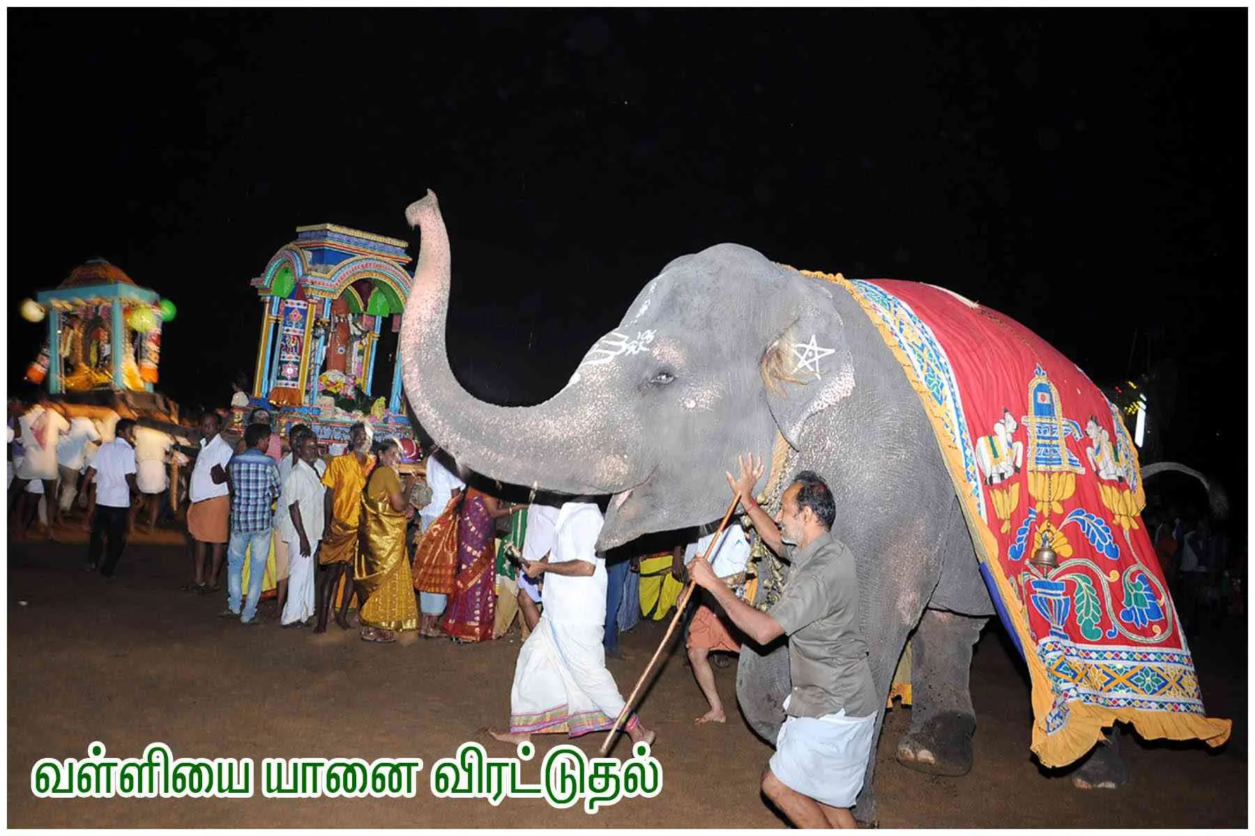 வள்ளி திருக்கல்யாணம் வள்ளி திருக்கல்யாணம் ஊஞ்சல் வைபவம்