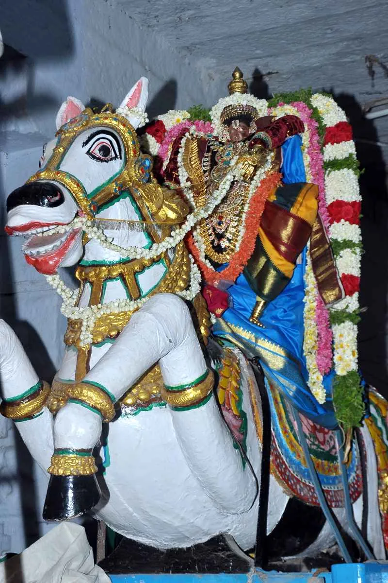 ஸ்ரீ ராம நவமி ஸ்ரீ ராம நவமி ஒன்பதாம் நாள் உற்சவம்
மாலை குதிரை வாகனம்
வீதி உலா