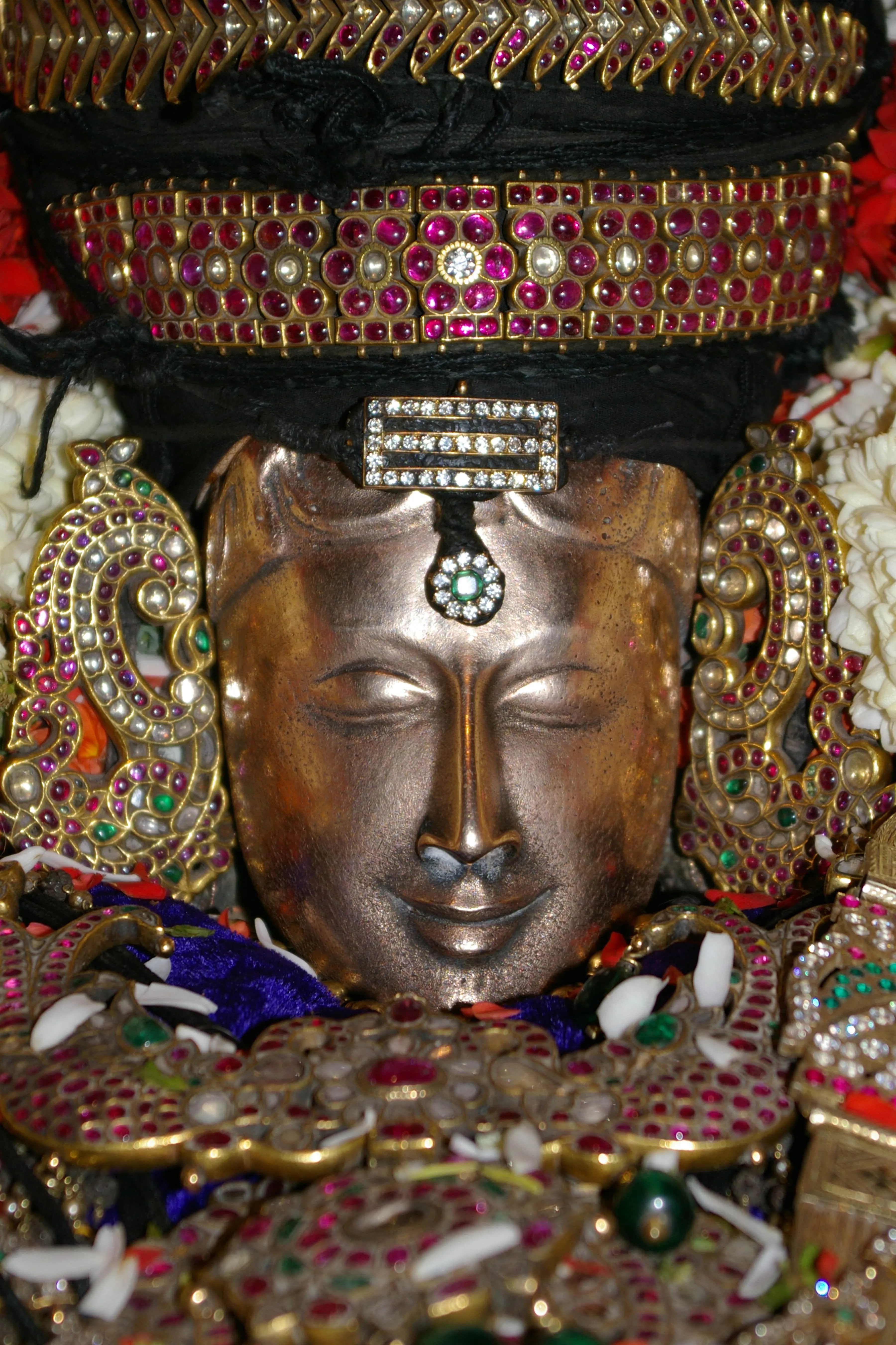 அருள்மிகு கபாலீஸ்வரர் சுவாமி இங்குள்ள இறைவன் சிவலிங்க வடிவில் காட்சியளிக்கிறார்.  இவரை புன்னைவனத்து ஈசன், வேத நகரினான், சுக்கிரபுரியான், கபாலீச்சரத்தினான் என்றும் அழைக்கின்றனர்.  கபாலீசுவரரை பூம்பாவை, ஈசன், புன்னைவன மயூரநாதன், கபாலிமாநகரான் என்றும் போற்றுகின்றனர்.  இச்சிவலிக்கம் பிரதிஷ்டை செய்யப்பட்ட சிவலிங்கமாகும்.  இப்பெரிய சிவலிங்கத் திருமேனியோடு மேற்கே பார்த்தவாறு எழுந்தளியிருக்கிறான் கபாலீசுவரன், கபாலீசுவருக்கு  உற்சவ மூர்த்தி உள்ளது.