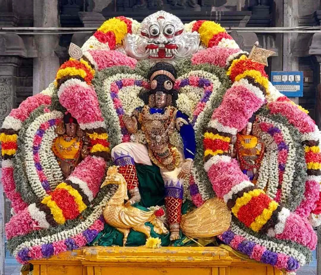 தெப்ப உற்சவம் 2023 ஆம் ஆண்டு பிப்ரவரி 06-ம் தேதி இரண்டாம் நாள் இரவு 7.00 மணி முதல் இரவு 10.00 மணிவரை அருள்மிகு சிங்காரவேலர்  திருக்கோயில் திருக்குளத்தின் தெப்பத்தில் எழுந்தருளி உலாவந்து திருவருள் புரிவர்.