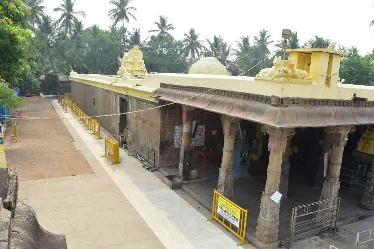 உட்புற தோற்றம் உட்புற தோற்றம்