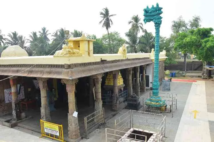 உட்புற தோற்றம் உட்புற தோற்றம்