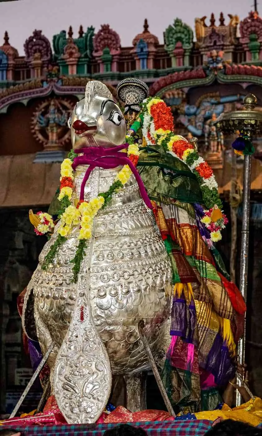 ஸ்ரீ நம்பெருமாள் ஹம்ச வாகனத்தில் ஸ்ரீநம்பெருமாள் திருப்பள்ளியோடம் திருவிழா 
முதல் நாள் ஸ்ரீ நம்பெருமாள் ஹம்ச வாகனத்தில்