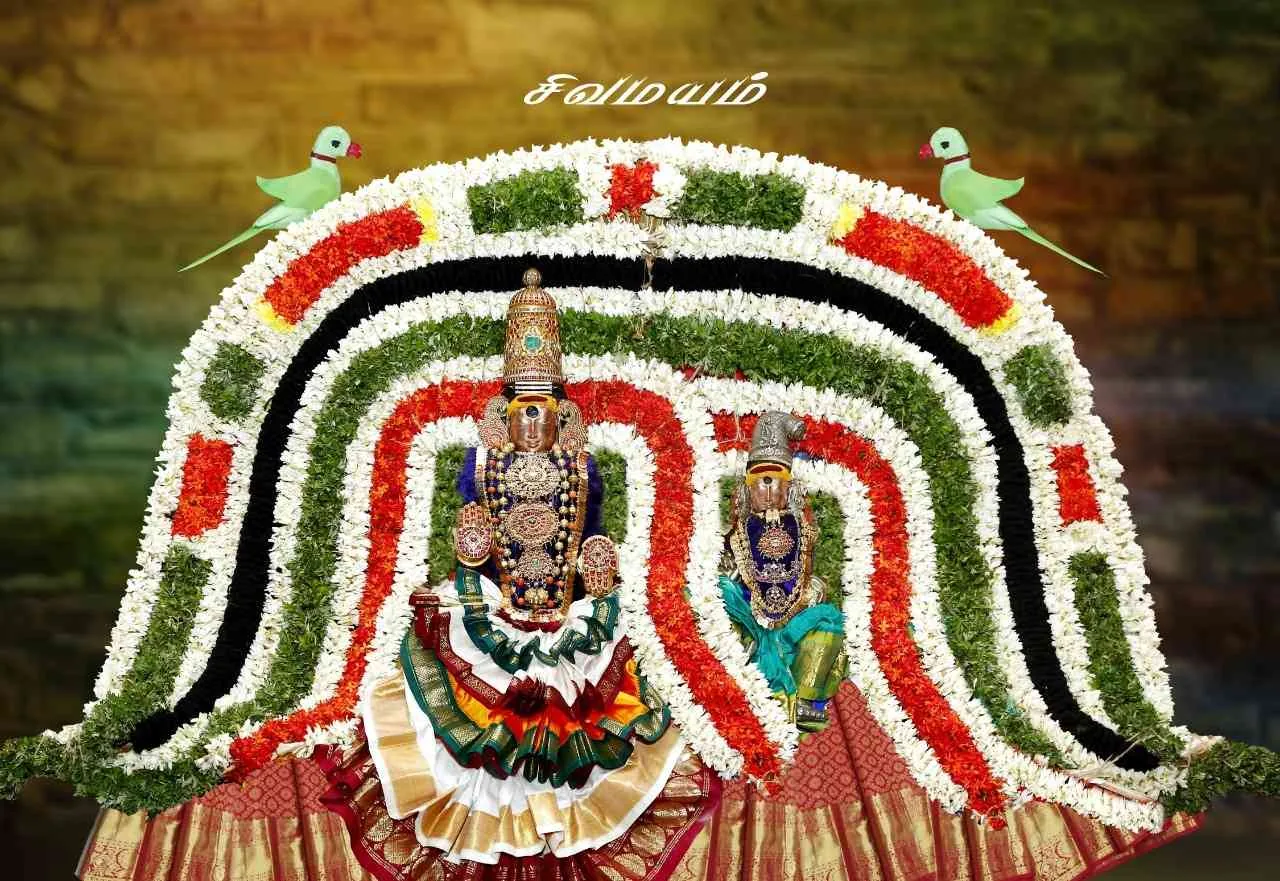 செட்டிபெண் மருத்துவம் செட்டிபெண் மருத்துவம்