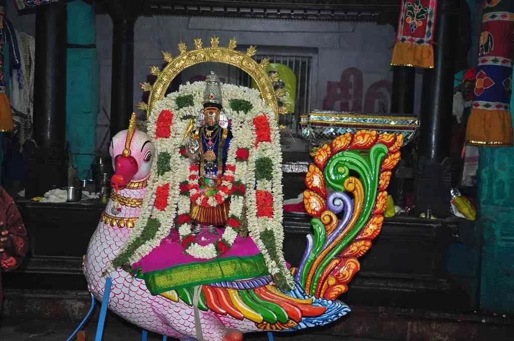 தெப்பம் 5ம் நாள் திருவிழா கைலாச பர்வதத்தில் சுவாமி  மற்றும் அன்னத்தில் அம்மன் புறப்பாடு