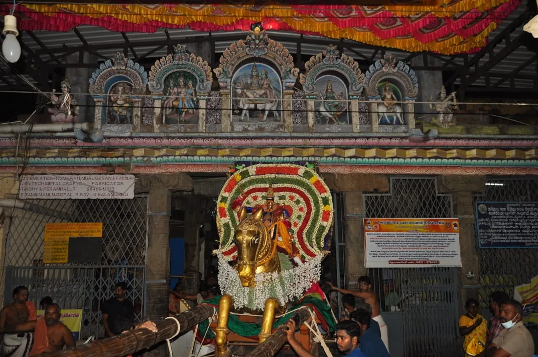 தெப்பம் 8ம் நாள் திருவிழா சுவாமி தங்கக்குதிரை வாகனத்திலும்,அம்பாள் பல்லக்கிலும் புறப்பாடு