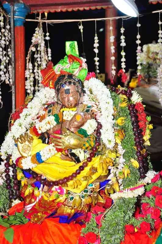 செட்டிப்பெண் மருத்துவம் செட்டிப்பெண் மருத்துவம்