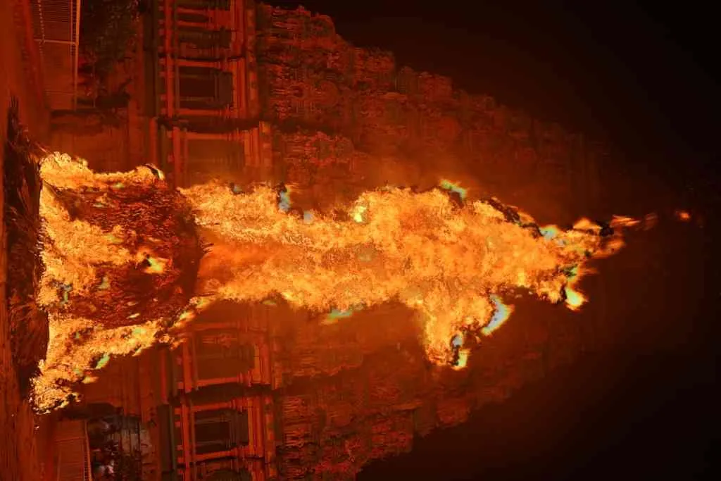 கார்த்திகை தீபம் திருவிழா கார்த்திகை தீபம் திருவிழா