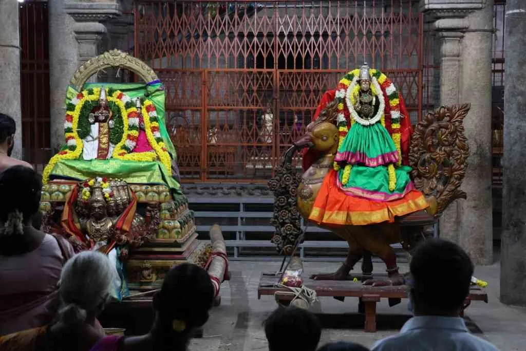 தை தெப்ப உற்சவம் 4ம் நாள் சுவாமி புறப்பாடு தை தெப்ப உற்சவம் 4ம் நாள் சுவாமி புறப்பாடு