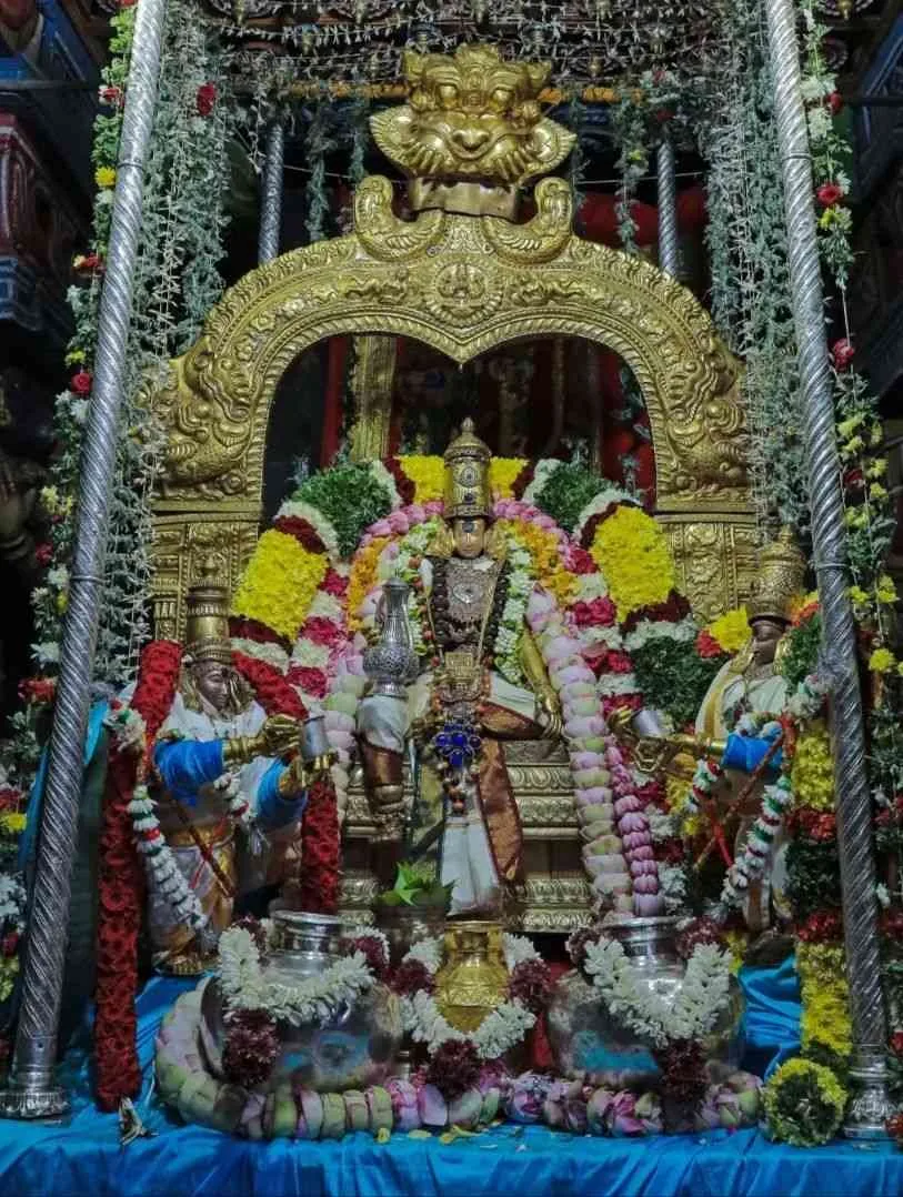 அம்பாள் அருள்மிகு மீனாக்ஷி அம்மன் அலங்கார தோற்றம்