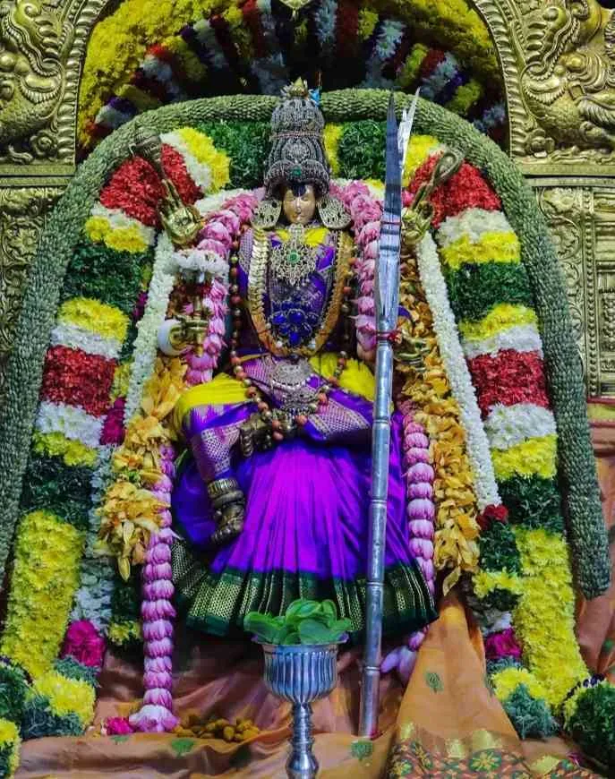 அம்பாள் அருள்மிகு மீனாக்ஷி அம்மன் அலங்கார தோற்றம்