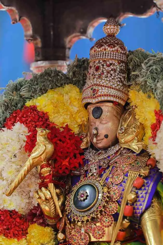 தெப்பத்திருவிழா தெப்பத்திருவிழா 2023