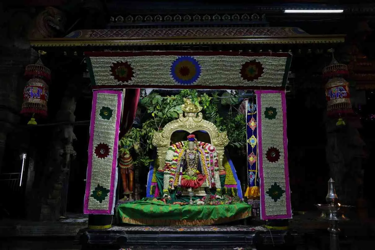 நவராத்திரி திருவிழா -2023 நவராத்திரி திருவிழா-2023
ஐந்தாம்  நாள் -19.10.2023
தபசு காட்சி