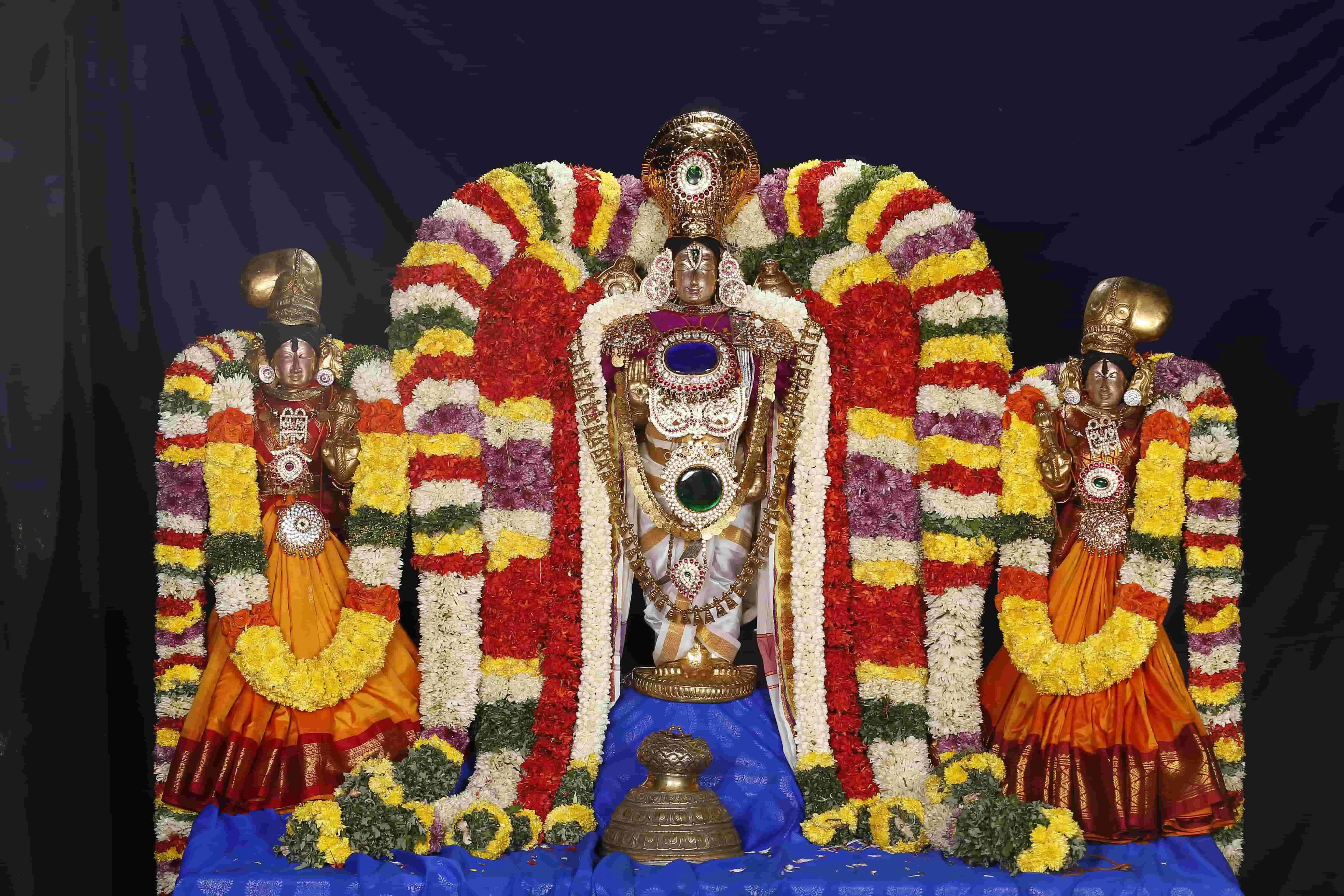 உற்சவர் பெருமாள் தாயார் உற்சவர் பெருமாள் தாயார் படத்தொகுப்பு