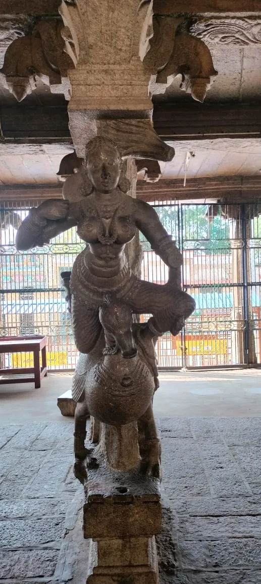 தசாவதார சிற்பங்கள் - மோகினி அவதாரம் இத்திருக்கோயில் திருக்கல்யாண மண்டபத்தில் தசாவதாரக்காட்சிகள் சிற்பங்களாக  அமையப்பட்டுள்ளன.