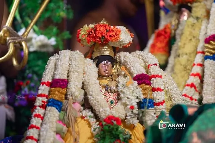 அருள்மிகு சுந்தரராஜப்பெருமாள்  திருக்கல்யாணம் அருள்மிகு சுந்தரராஜப்பெருமாள்  திருக்கல்யாணம்