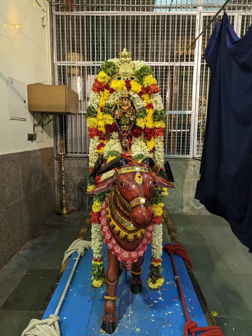 தைப்பூசம் 4ம் நாள் திருவிழா ஆட்டுக்கிடா வாகனம்