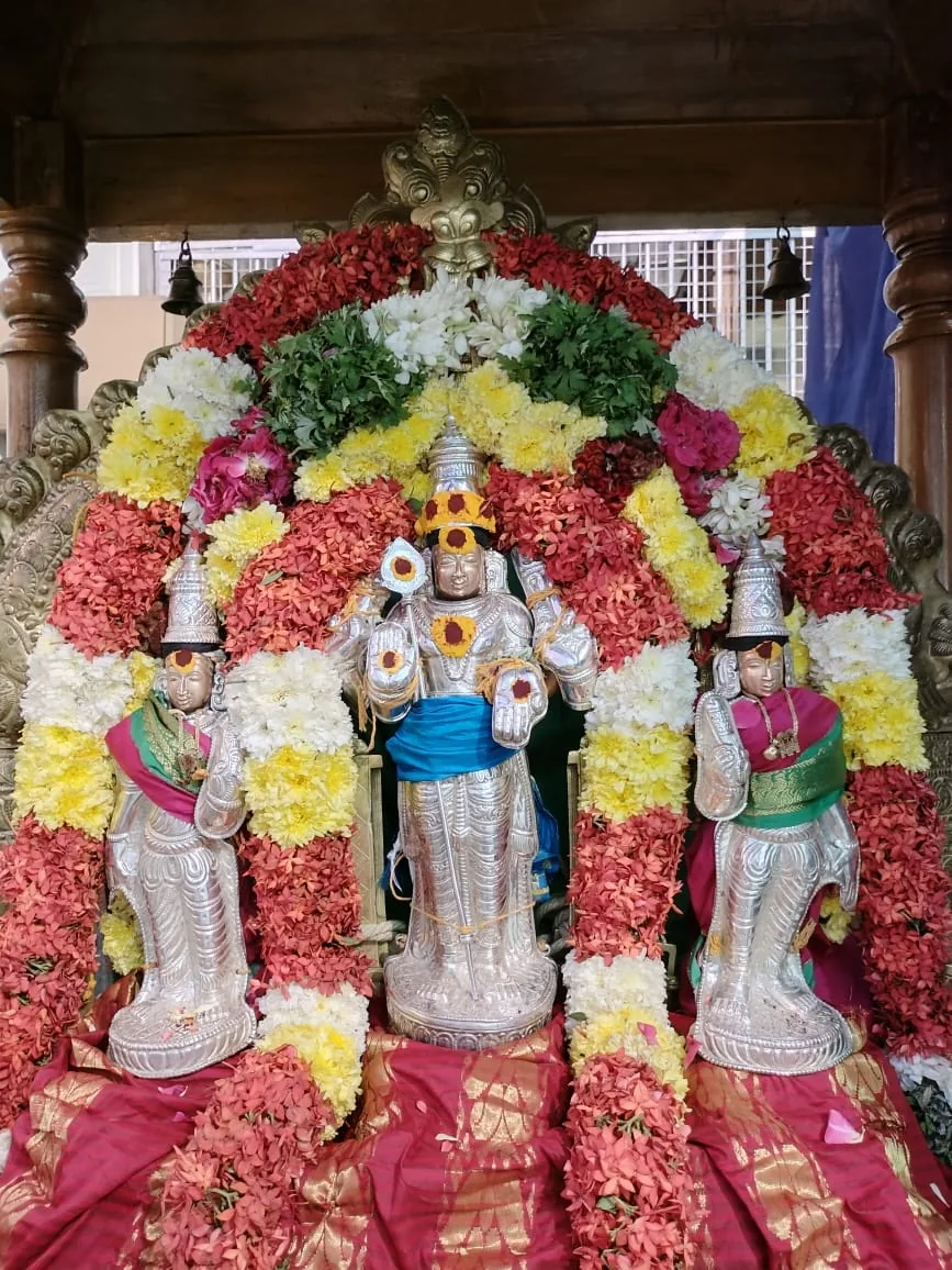 தைப்பூசம் 5ம் நாள் திருவிழா  சுவாமி  உலா தைப்பூசம் 5ம் நாள் திருவிழா  சுவாமி  உலா